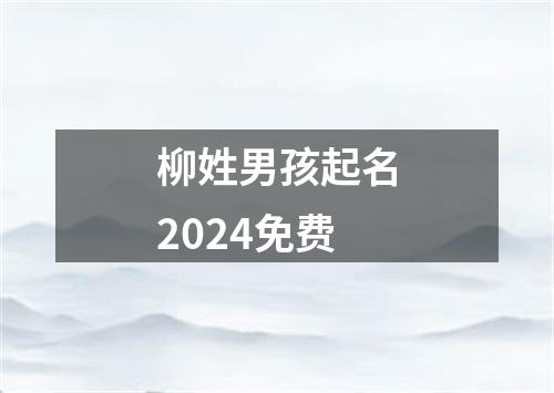 柳姓男孩起名2024免费