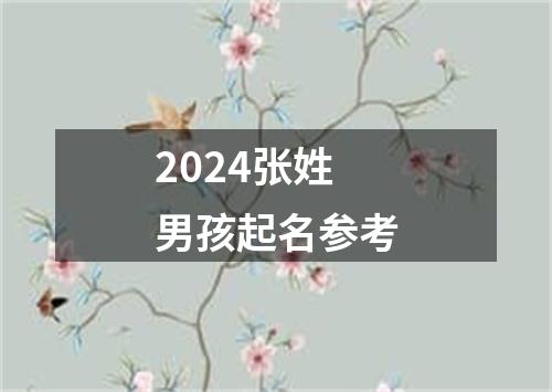 2024张姓男孩起名参考