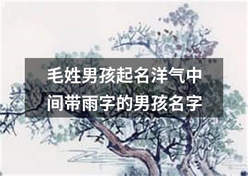 毛姓男孩起名洋气中间带雨字的男孩名字