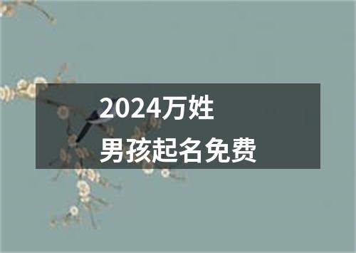 2024万姓男孩起名免费