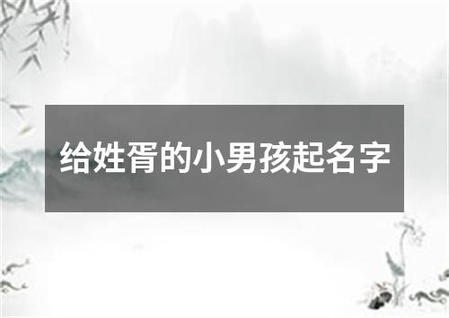 给姓胥的小男孩起名字