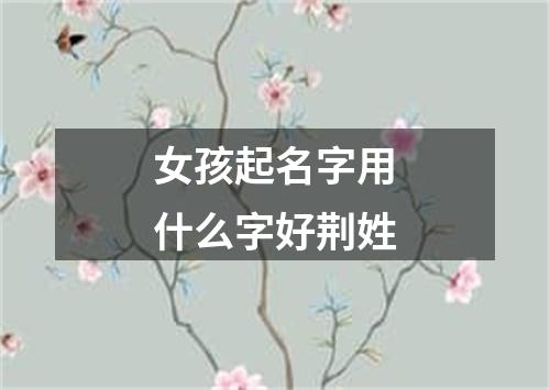 女孩起名字用什么字好荆姓