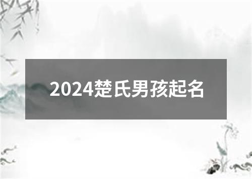 2024楚氏男孩起名