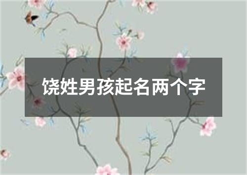 饶姓男孩起名两个字