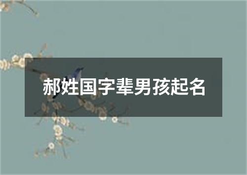 郝姓国字辈男孩起名