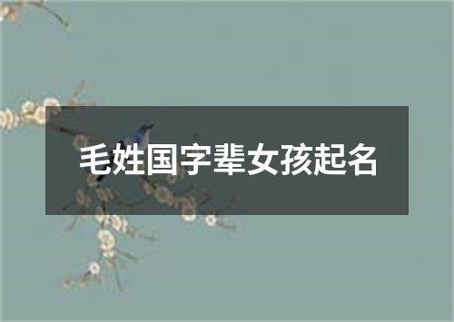 毛姓国字辈女孩起名