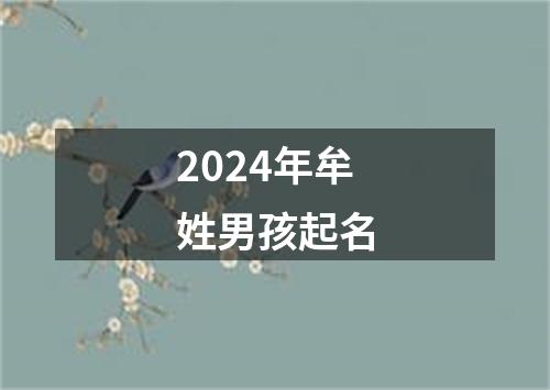 2024年牟姓男孩起名