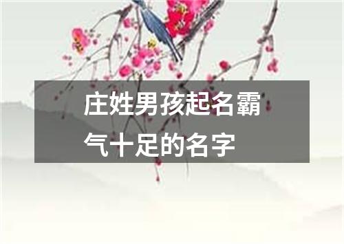 庄姓男孩起名霸气十足的名字