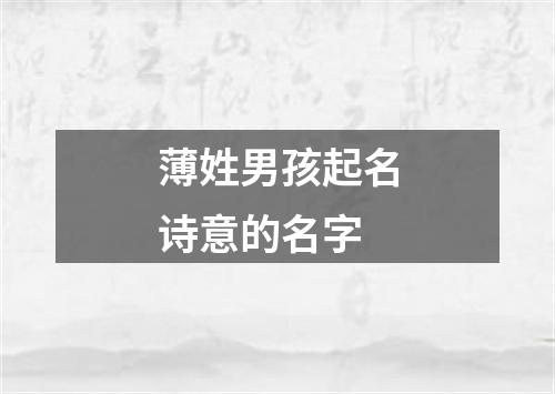 薄姓男孩起名诗意的名字