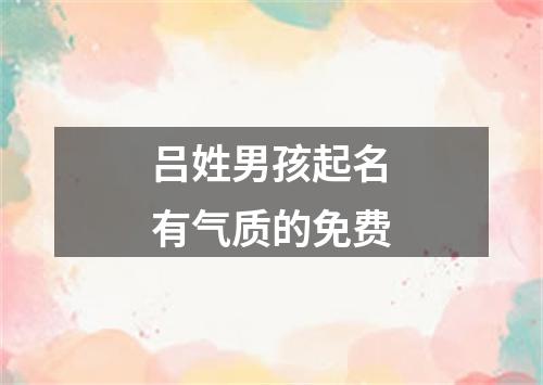 吕姓男孩起名有气质的免费