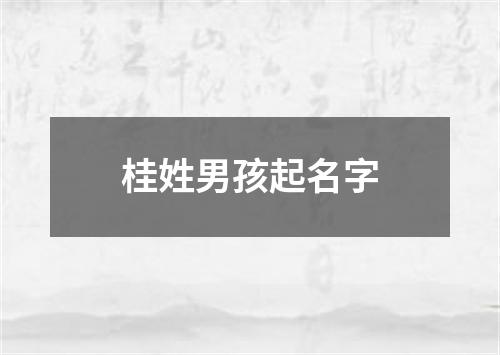 桂姓男孩起名字