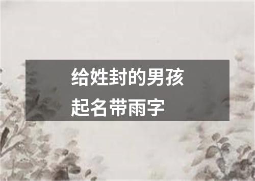 给姓封的男孩起名带雨字