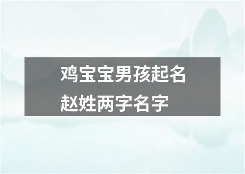 鸡宝宝男孩起名赵姓两字名字