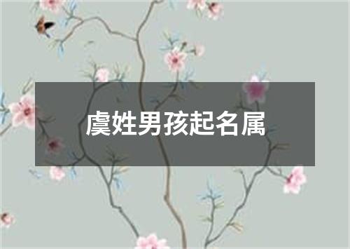 虞姓男孩起名属