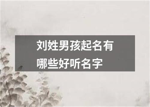 刘姓男孩起名有哪些好听名字