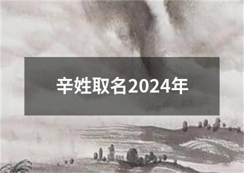 辛姓取名2024年