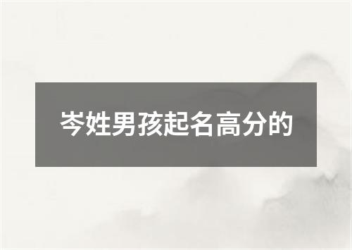 岑姓男孩起名高分的