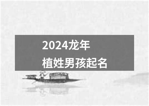 2024龙年植姓男孩起名