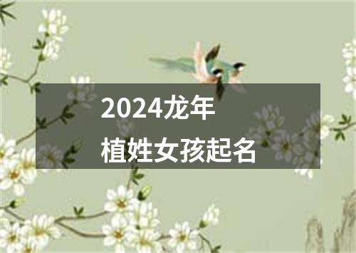 2024龙年植姓女孩起名