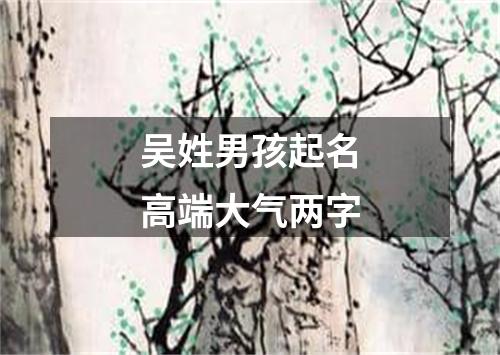 吴姓男孩起名高端大气两字