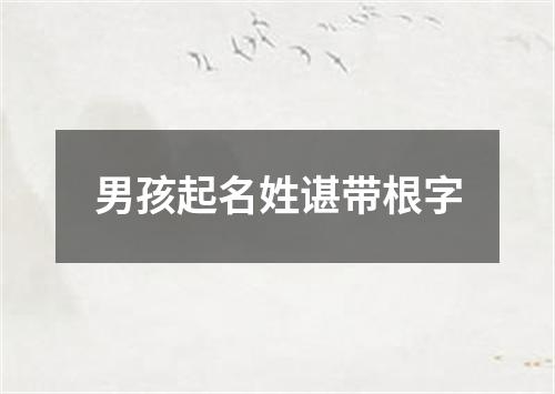 男孩起名姓谌带根字