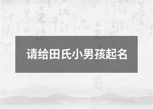 请给田氏小男孩起名