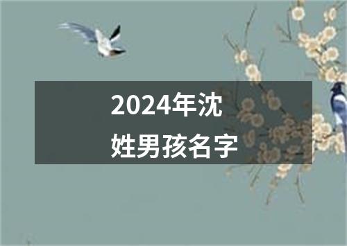 2024年沈姓男孩名字