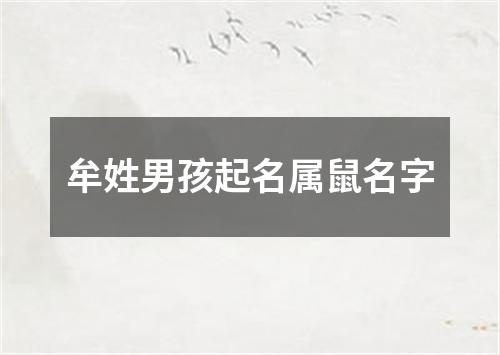 牟姓男孩起名属鼠名字