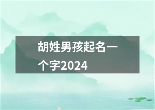 胡姓男孩起名一个字2024