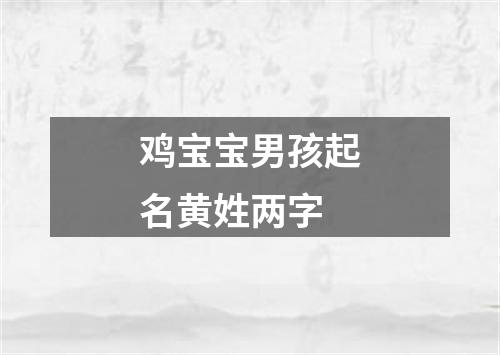 鸡宝宝男孩起名黄姓两字