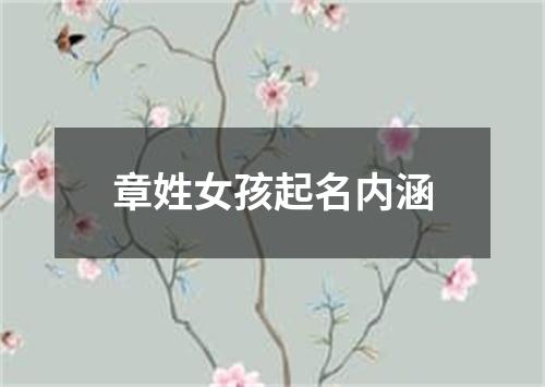 章姓女孩起名内涵