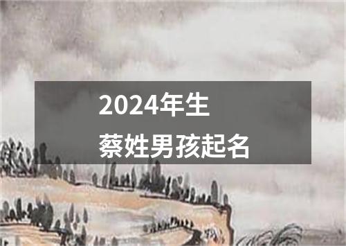 2024年生蔡姓男孩起名