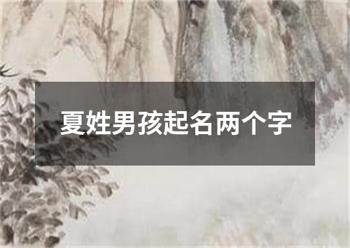 夏姓男孩起名两个字