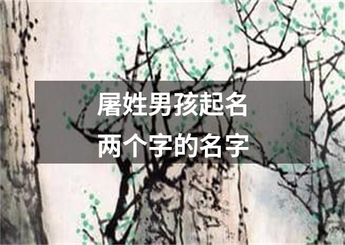 屠姓男孩起名两个字的名字