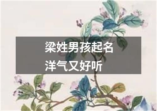 梁姓男孩起名洋气又好听