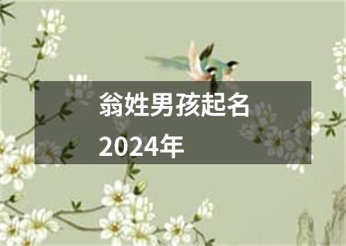 翁姓男孩起名2024年