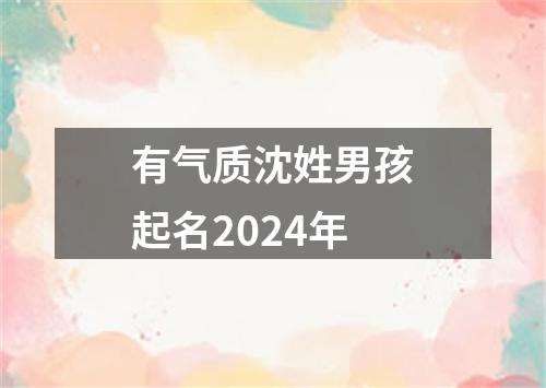 有气质沈姓男孩起名2024年