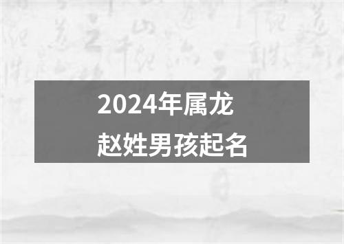 2024年属龙赵姓男孩起名