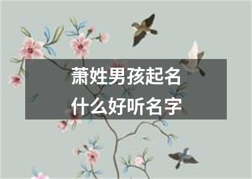 萧姓男孩起名什么好听名字