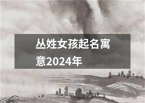 丛姓女孩起名寓意2024年