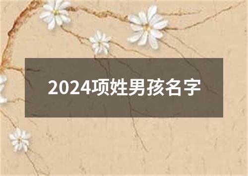 2024项姓男孩名字