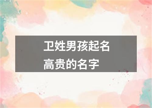 卫姓男孩起名高贵的名字