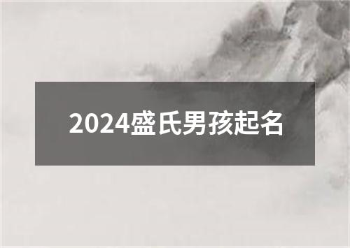 2024盛氏男孩起名