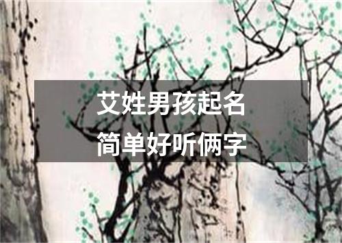 艾姓男孩起名简单好听俩字