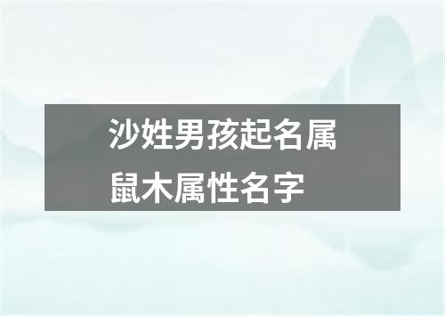 沙姓男孩起名属鼠木属性名字