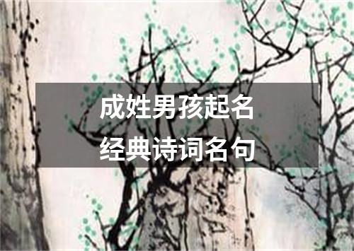 成姓男孩起名经典诗词名句