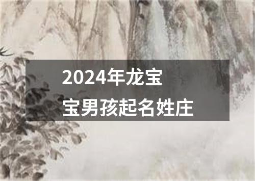 2024年龙宝宝男孩起名姓庄