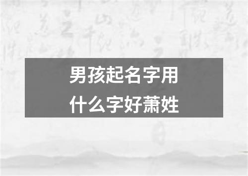 男孩起名字用什么字好萧姓