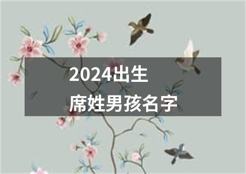 2024出生席姓男孩名字