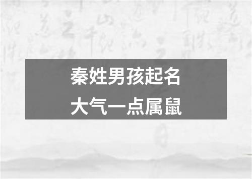 秦姓男孩起名大气一点属鼠